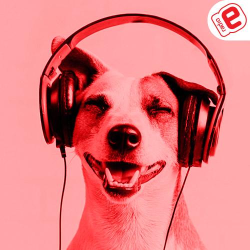 Logo stacji radiowej ESKA2 Polskie Na Czasie