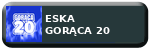 Logo stacji radiowej Radio ESKA Gorąca 20